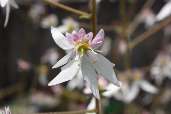 20160530005.JPG