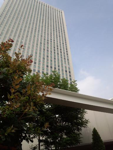 IMG_20130730_150934420.jpg