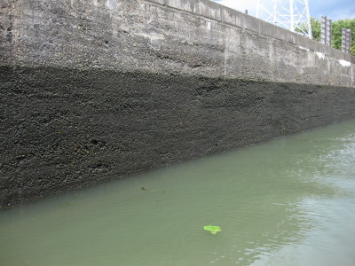 中島閘門3