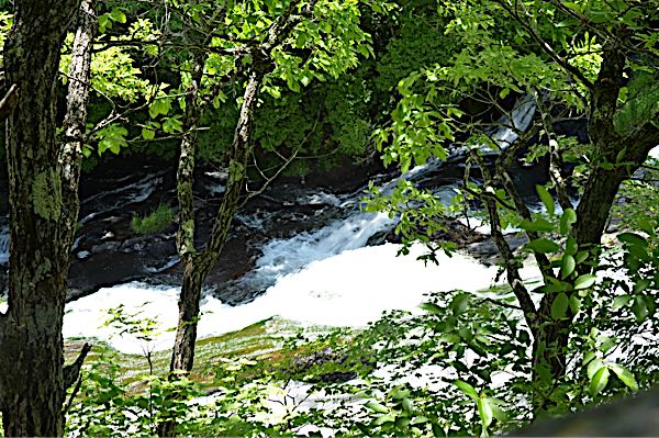 rblog-20180625123044-04.jpg