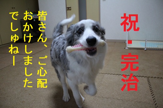 心配