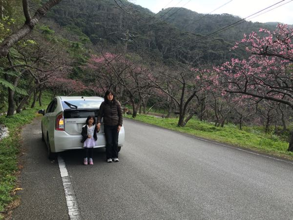 rblog-20160119095906-01.jpg