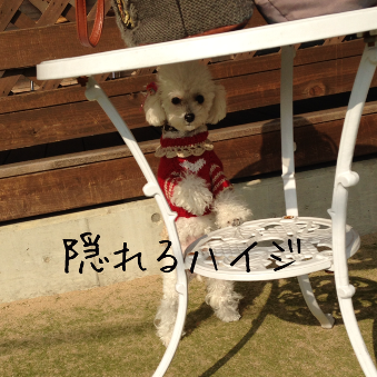 IMG_5845.png