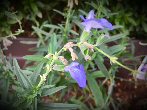 rblog-20151029140812-00.jpg