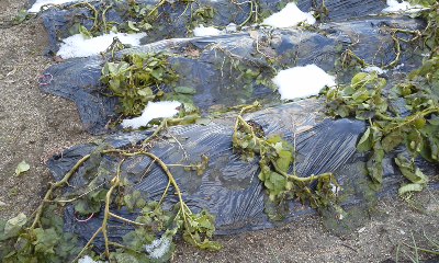 141221_1135~01.jpg