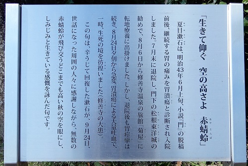 夏目漱石句碑・旭川畔 (2).JPG