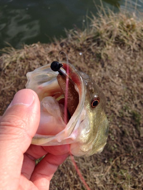 rblog-20150311150453-01.jpg