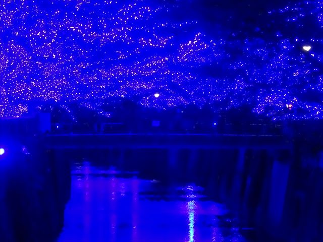 DSC08884_R.JPG