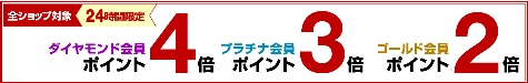 20130527_point_pc.jpg