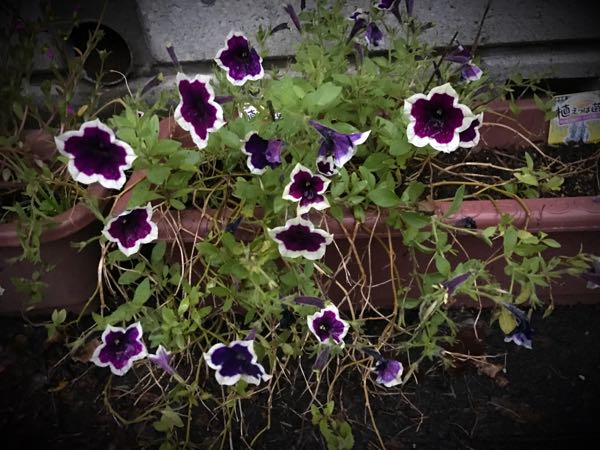 rblog-20160924181715-00.jpg