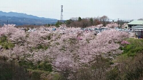 rblog-20160402211507-03.jpg