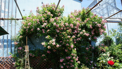 DSC03644.JPG