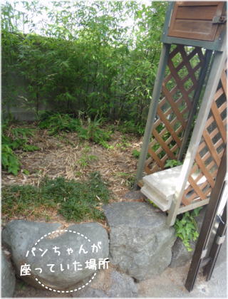 0803パンちゃん5.jpg