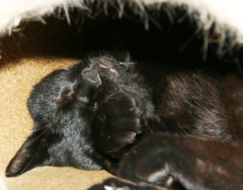 20120805ﾀｸ02.jpg