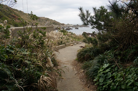 DSC00669.JPG