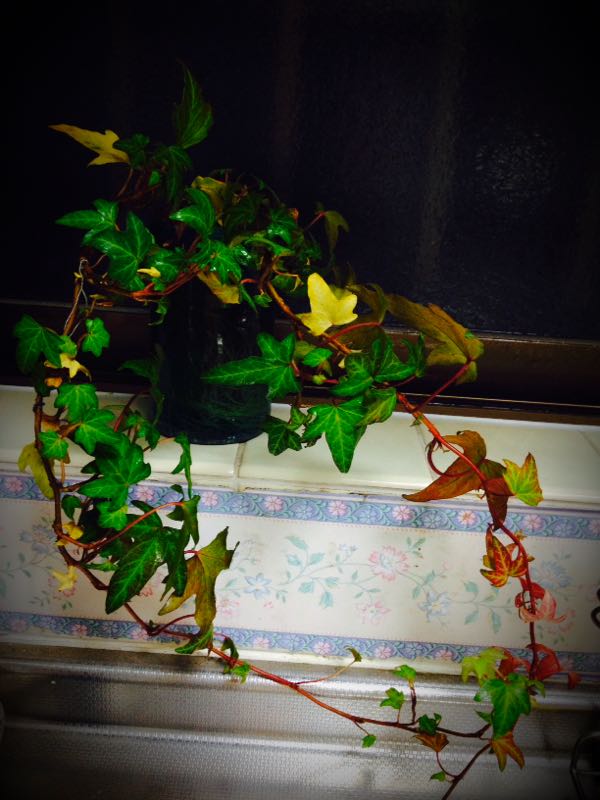 rblog-20141229193359-00.jpg