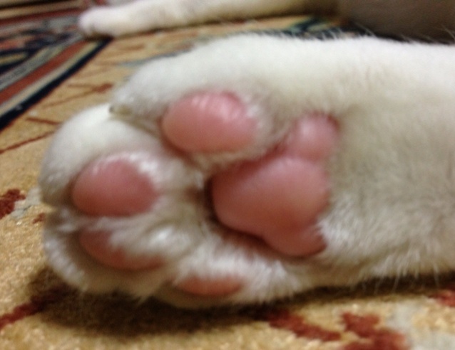 rblog-20130110181524-00.jpg