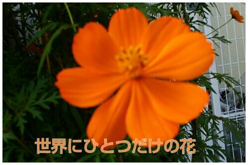 rblog-20161027205528-00.jpg