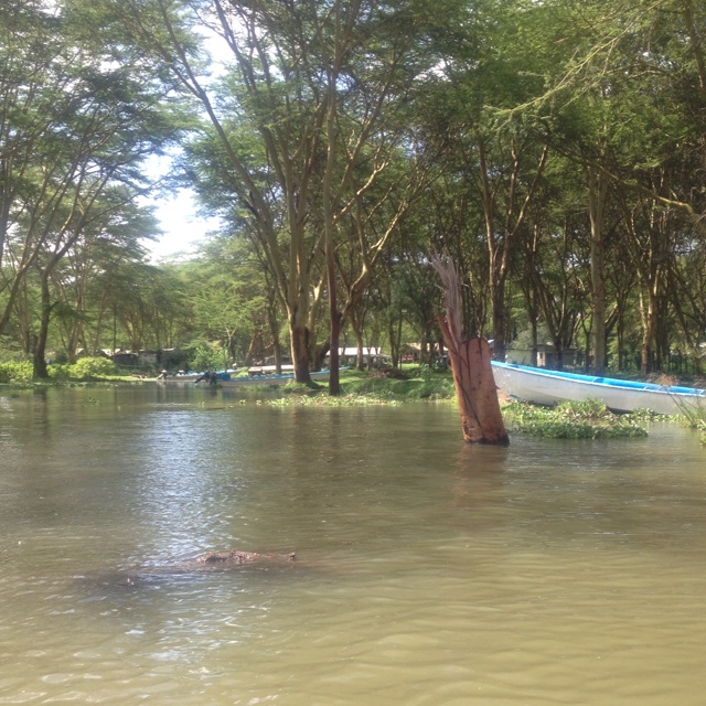 rblog-20130617093828-02.jpg