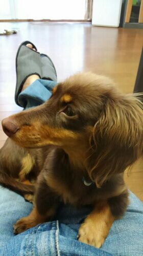 rblog-20161211220434-01.jpg