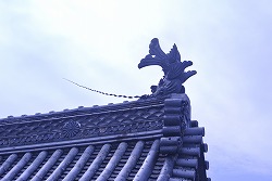 DSC_2122.jpg