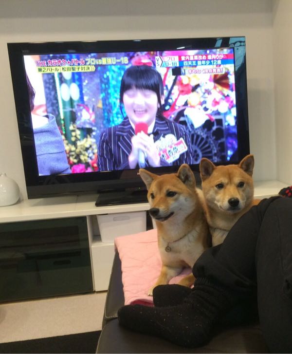rblog-20160105003353-05.jpg