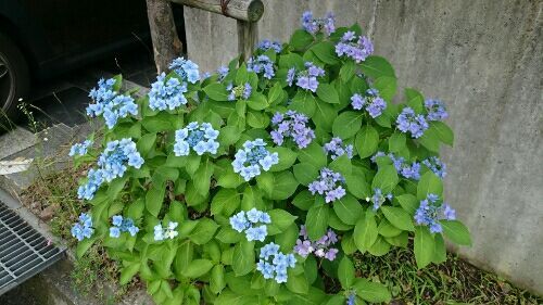 rblog-20170704182818-01.jpg