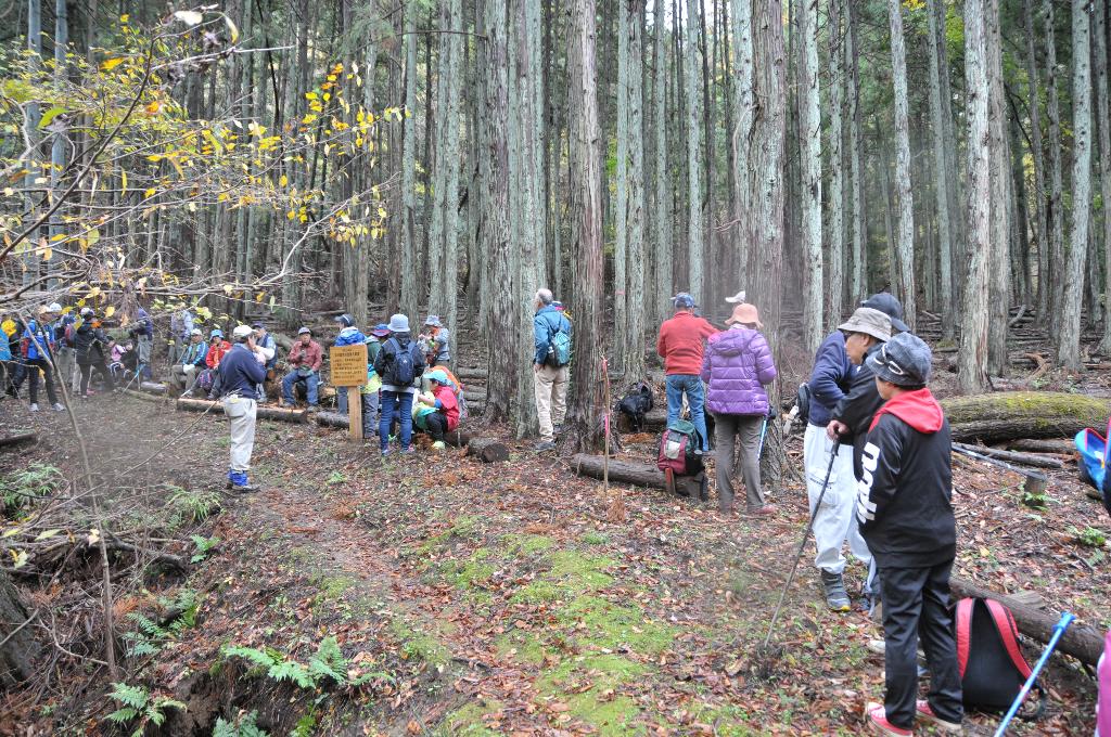 第14回醍醐山一斉登山1（登山編） | 醍醐山と下部（しもべ）温泉 - 楽天ブログ