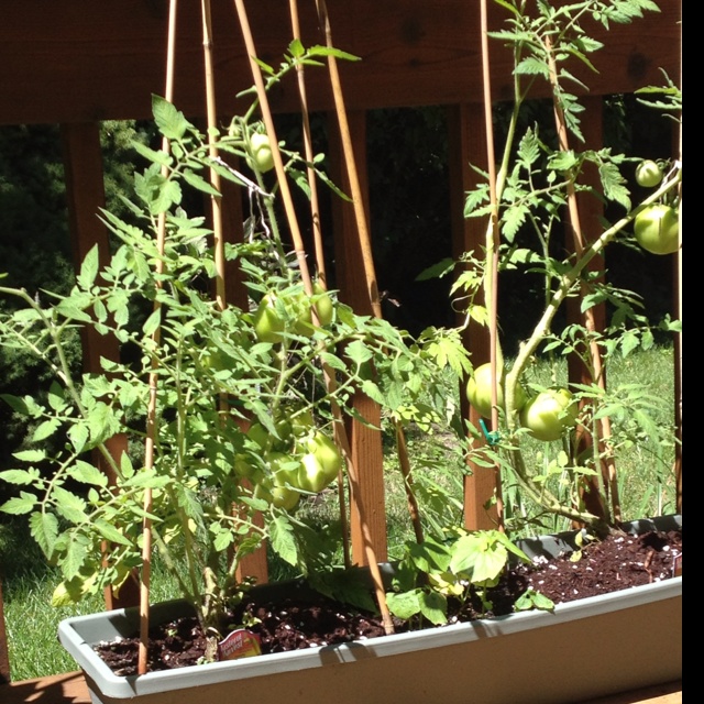 rblog-20130804161007-01.jpg