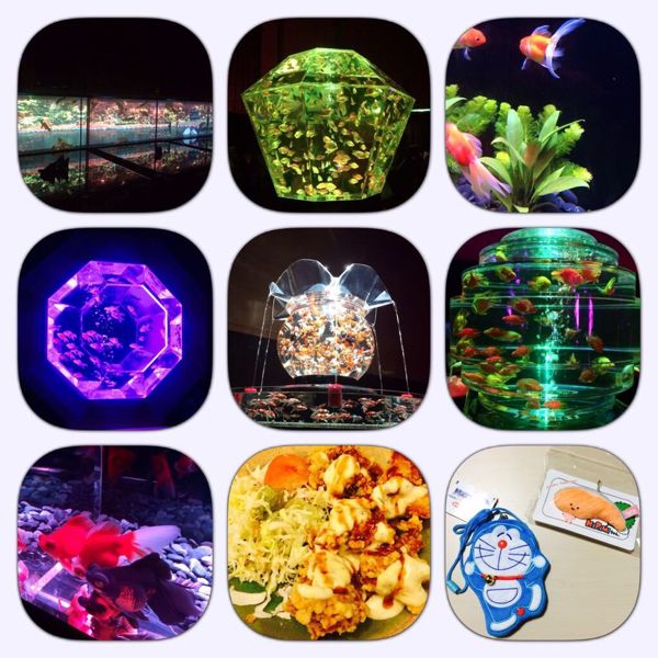 rblog-20141125213826-01.jpg