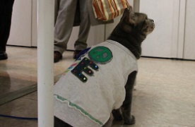 IMG_2879-9.jpg