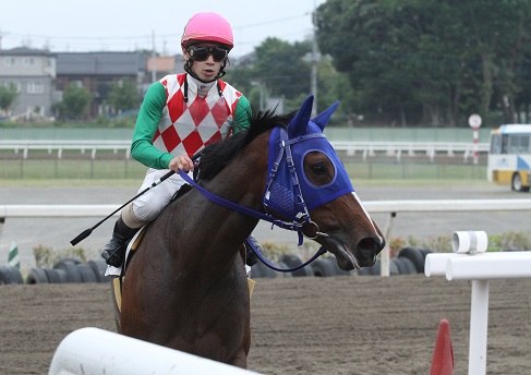 矢野騎手.jpg