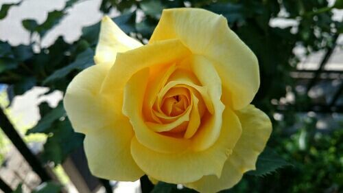 rblog-20170520180313-00.jpg