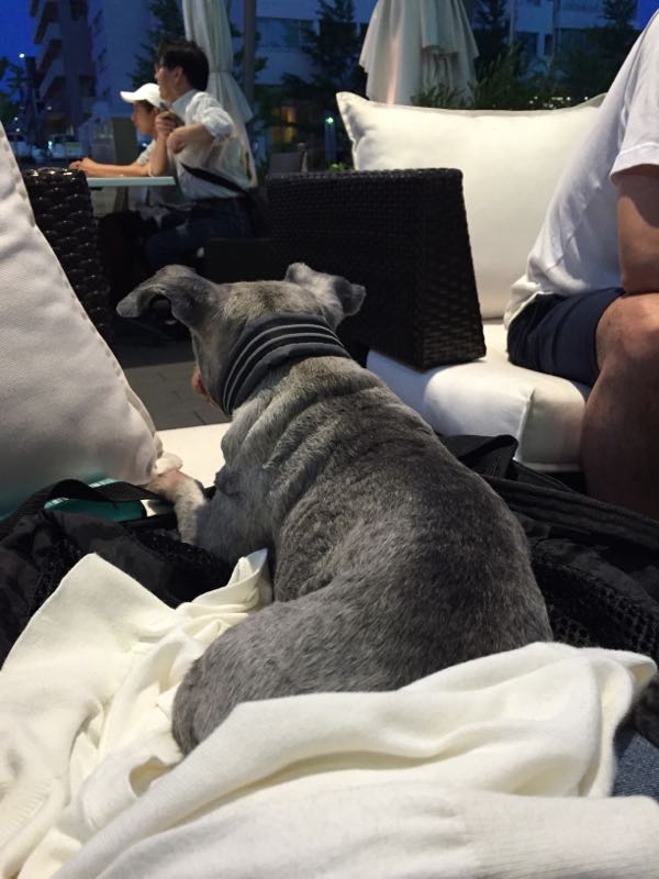 rblog-20160703012624-04.jpg