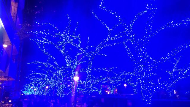 2014-12-02 18.35.25.jpg