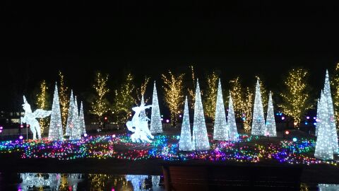 rblog-20141129211603-02.jpg