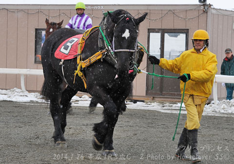 03SikunohePrincess012614Ob1R_01