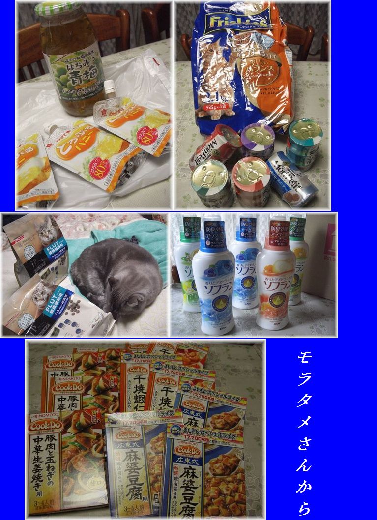 モラタメさんから