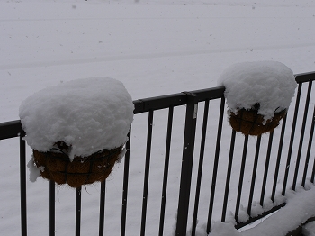 大雪の日