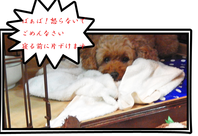 こころ16