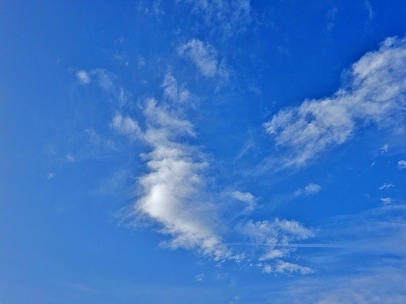 空2