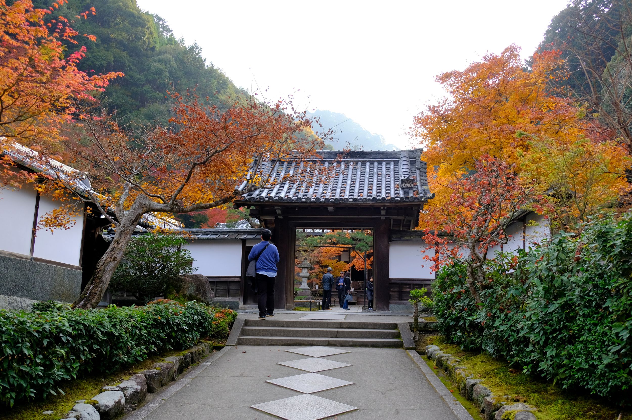 京の錦秋７ 南禅寺の最勝院高徳庵 南風のメッセージ 楽天ブログ