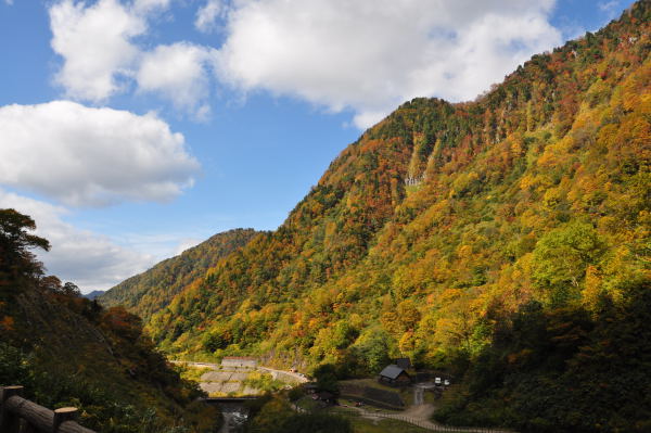 称名滝　紅葉