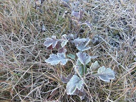 20151208-1.jpg