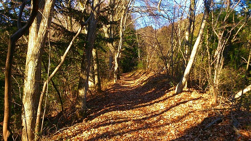 20141228深山鷹討山斜面登る.jpg