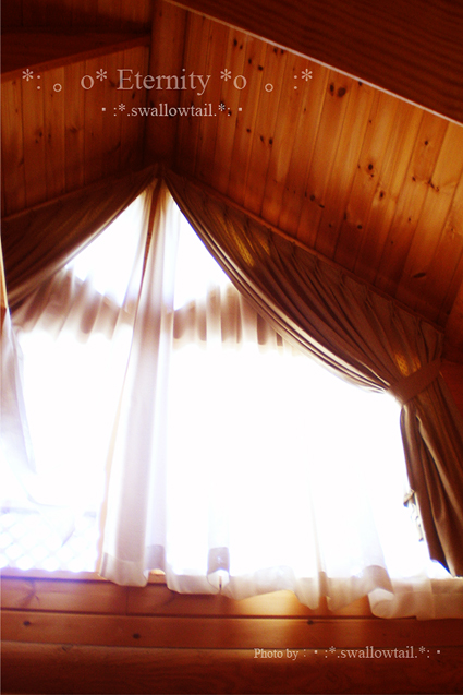 Photo by swallowtail　C.jpg