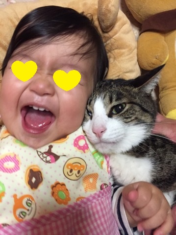 サンくんと