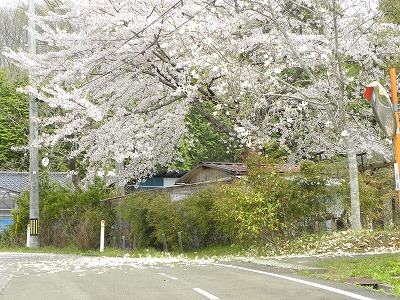 DSCN8506.jpg