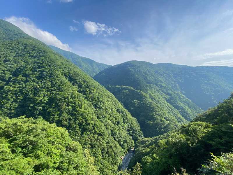 毛無山(けなしやま・1,964m)日本二百名山・山梨百名山（2）夢の跡 | 醍醐山と下部（しもべ）温泉 - 楽天ブログ