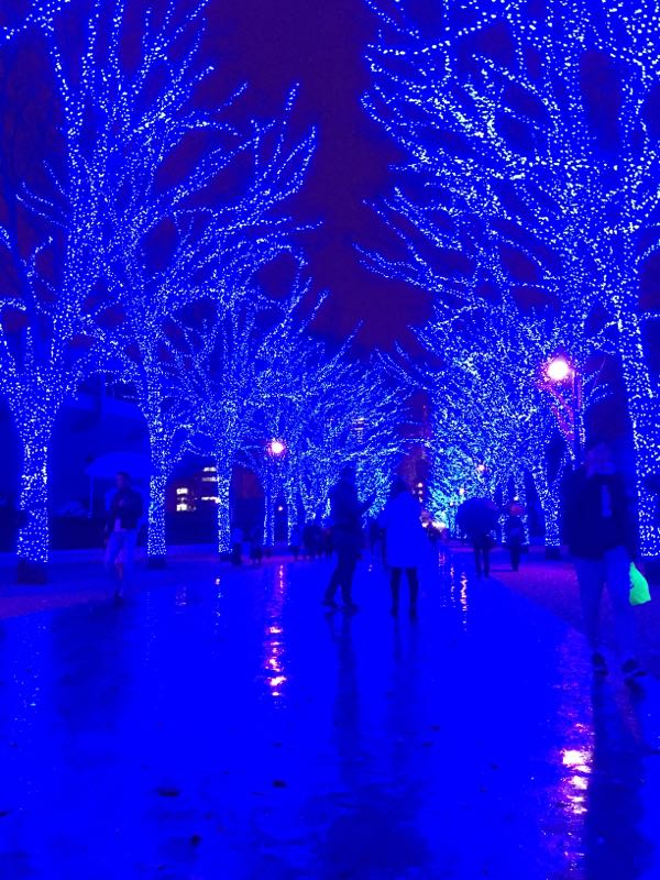 rblog-20171205123615-10.jpg